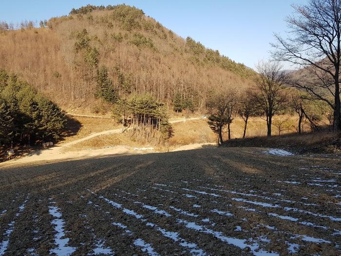 법원경매 2022타경30449 사진37 | 강릉시 왕산면 대기리 1650 대지 경매