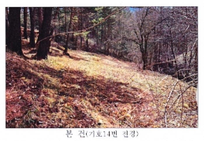 법원경매 2022타경30449 사진80 | 강릉시 왕산면 대기리 1650 대지 경매