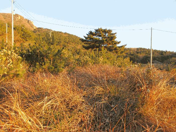 경남 거제시 남부면 저구리 717-24 전 사진 6