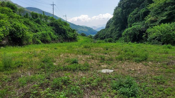 경상남도 고성군 동해면 장좌리 1451-2 법원경매 물건 대표사진
