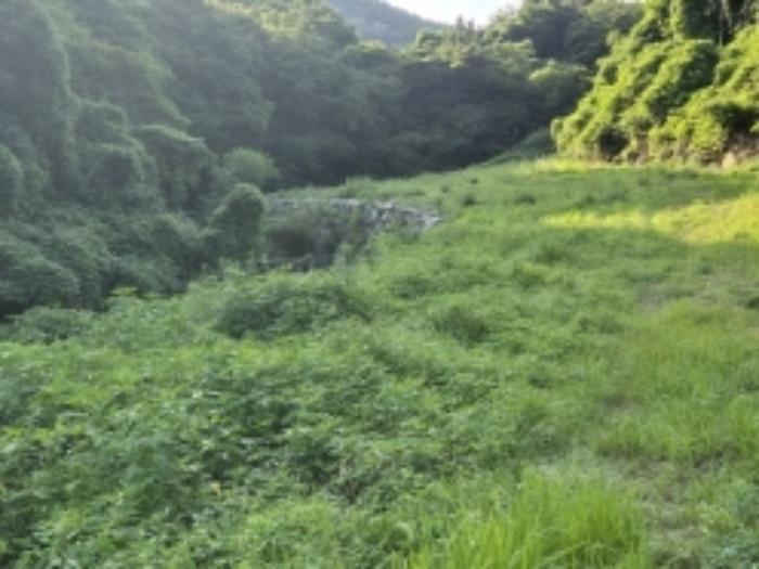 법원경매 2024타경3581 사진5 | 고성군 동해면 답 경매