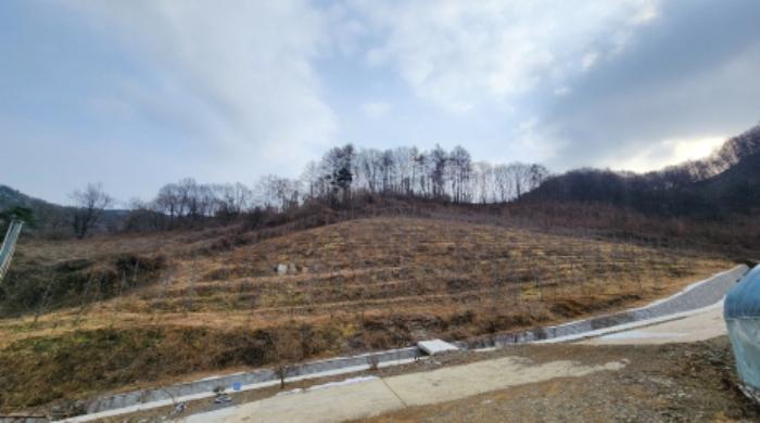 2024타경1841 법원경매 사진4 | 충북 제천시 전답 경매