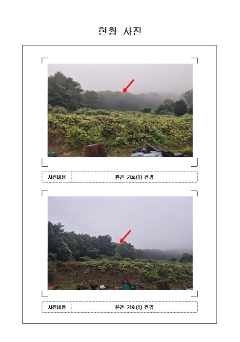 2024타경56546 법원경매 사진3 | 전남 무안군 임야 경매