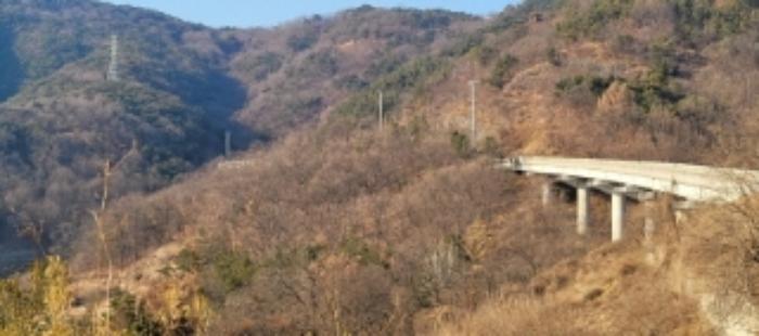 법원경매 2024타경124738 사진6 | 청도군 이서면 팔조리 임야 경매