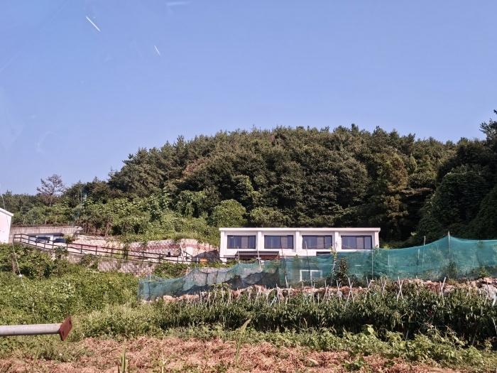 전라남도 여수시 소라면 궁항길 115-4 법원경매 물건 대표사진