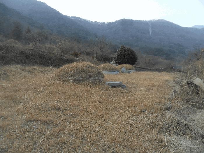 경상남도 창원시 마산합포구 진동면 태봉리 산30 법원경매 물건 대표사진