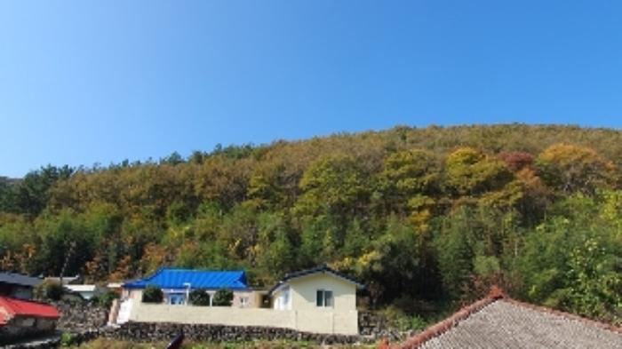 2024타경106316 법원경매 사진14 | 창원 마산합포구 임야 경매