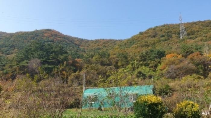 2024타경106316 법원경매 사진23 | 창원 마산합포구 임야 경매
