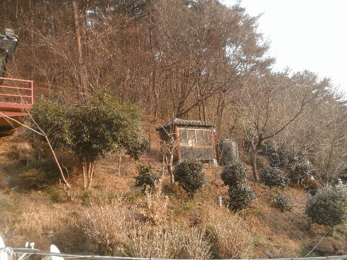 2024타경106316 법원경매 사진8 | 창원 마산합포구 임야 경매