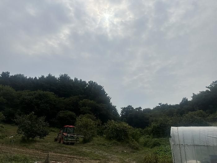 2024타경57369 법원경매 사진3 | 충남 당진시 임야 경매
