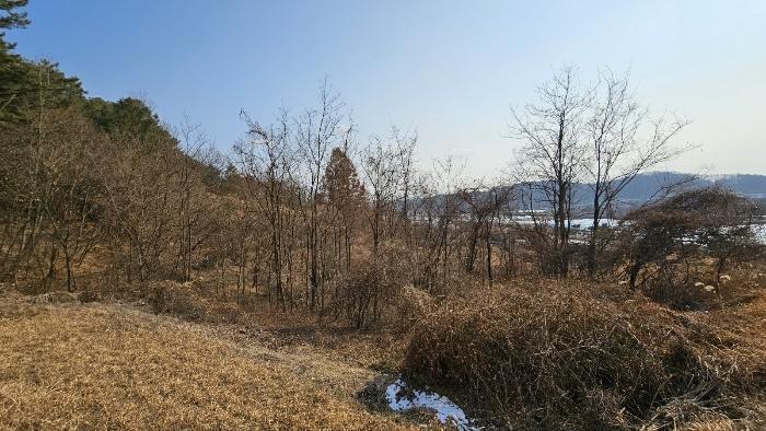 법원경매 2024타경125250 사진2 | 대전 유성구 방동 699-1 전 경매