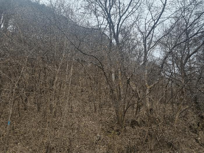 법원경매 2024타경56114 사진2 | 화천군 상서면 부촌리 1124 전 경매