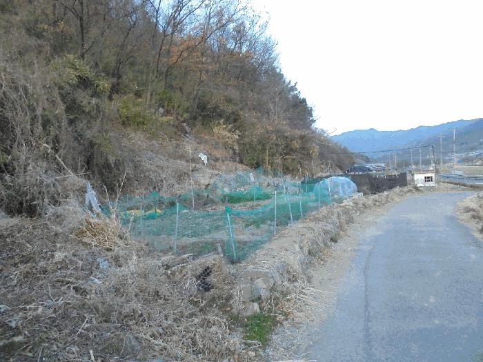 2024타경2789 법원경매 사진4 | 경남 창녕군 전 경매