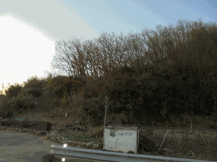 2024타경2789 법원경매 사진8 | 경남 창녕군 전 경매