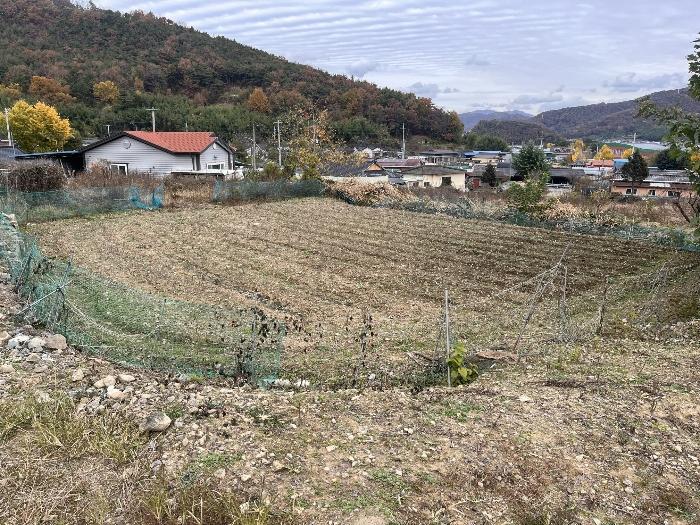2024타경2871 법원경매 사진3 | 경남 밀양시 전 경매