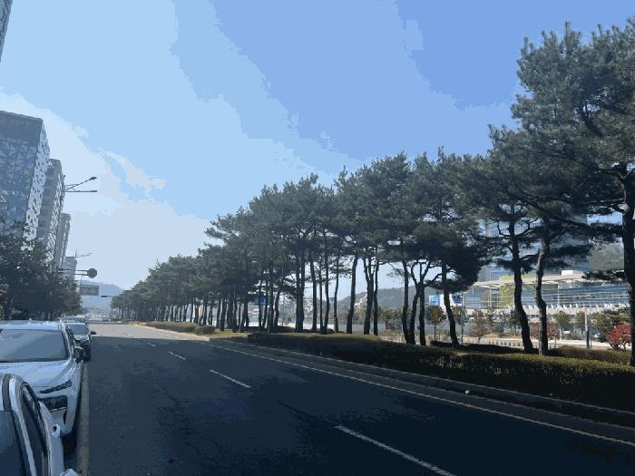 2025타경50993 법원경매 사진3 | 전남 무안군 오피스텔 경매