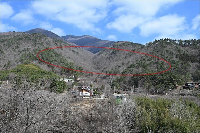 2024타경556 법원경매 사진3 | 전남 광양시 임야 경매