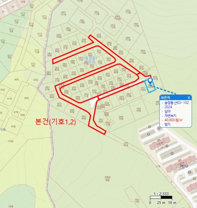 법원경매 2024타경62696 사진10 | 광주시 송정동 산63-45 임야 경매