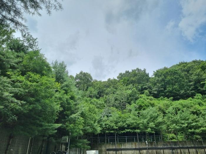 법원경매 2024타경62696 사진4 | 광주시 송정동 산63-110 임야 경매