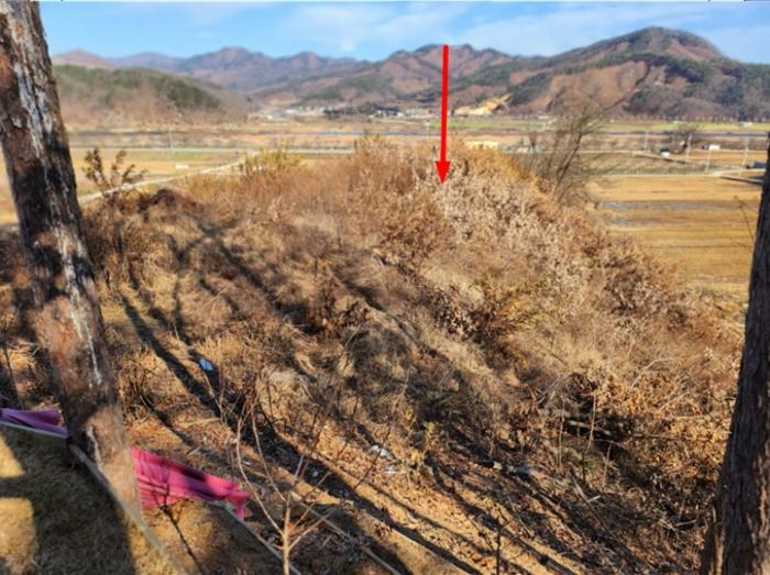 2024타경35735 법원경매 사진2 | 충북 충주시 임야 경매