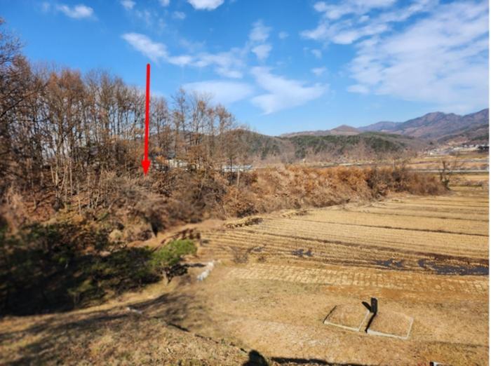 2024타경35735 법원경매 사진7 | 충북 충주시 임야 경매