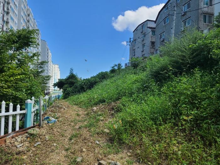 2024타경28887 법원경매 사진3 | 경남 거제시 임야 경매
