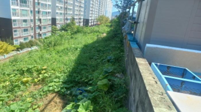 2024타경28887 법원경매 사진5 | 경남 거제시 임야 경매