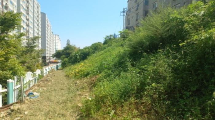 2024타경28887 법원경매 사진8 | 경남 거제시 임야 경매