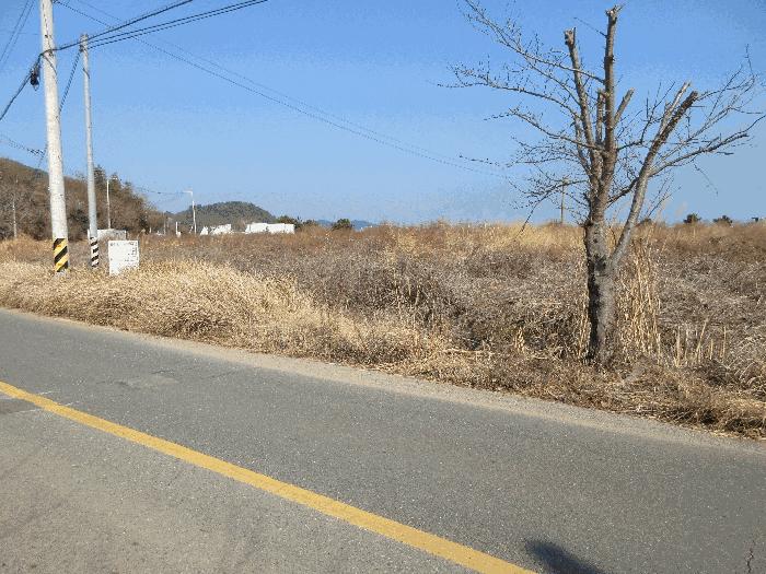 2025타경91 법원경매 사진3 | 경남 거제시 전답 경매