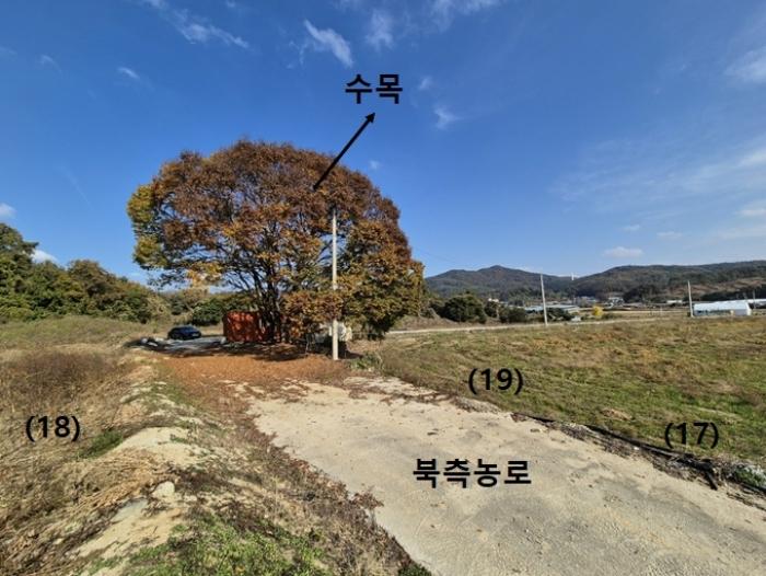 법원경매 2024타경52817 사진13 | 안성시 보개면 전답 경매