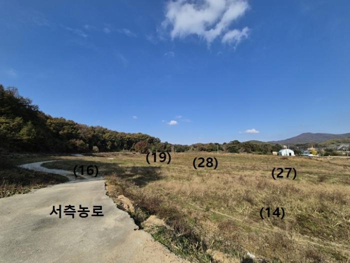 법원경매 2024타경52817 사진17 | 안성시 보개면 전답 경매