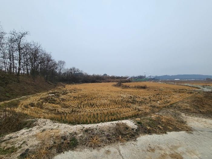 법원경매 2023타경37702 사진2 | 여주시 세종대왕면 왕대리 임야 경매