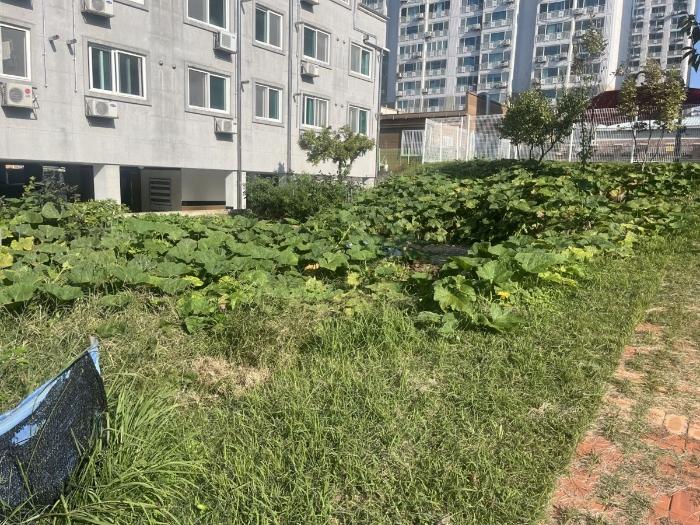 법원경매 2024타경81815 사진31 | 광주 북구 양산동 93-6 도로 경매