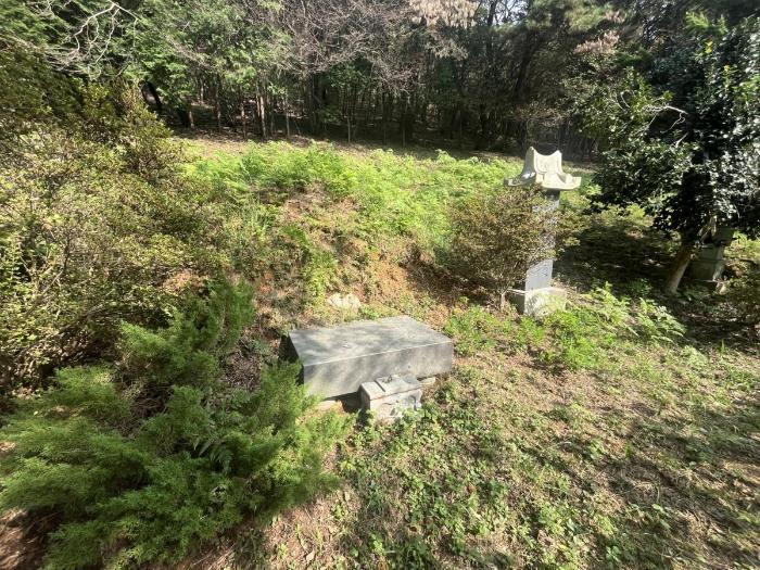 법원경매 2024타경81815 사진38 | 광주 북구 양산동 93-6 도로 경매