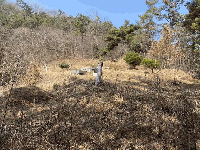 2025타경1076 법원경매 사진3 | 전남 나주시 임야 경매