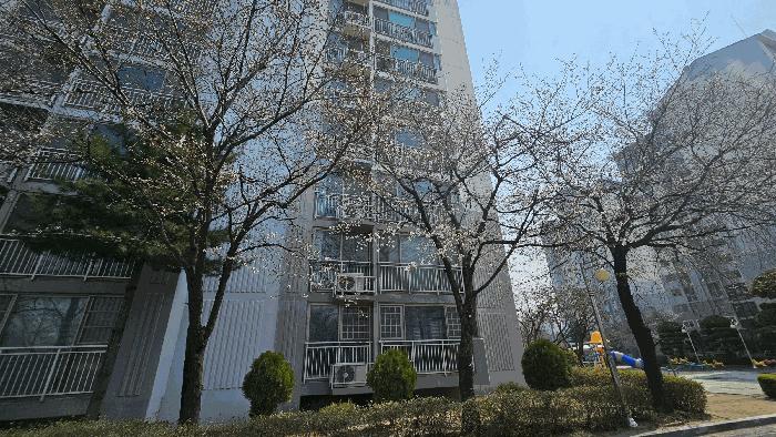 2025타경50979 법원경매 사진2 | 청주 상당구 아파트 경매