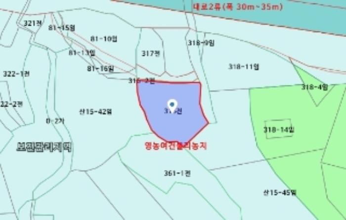 법원경매 2024타경124837 사진34 | 장군면 금암리 252 답 경매