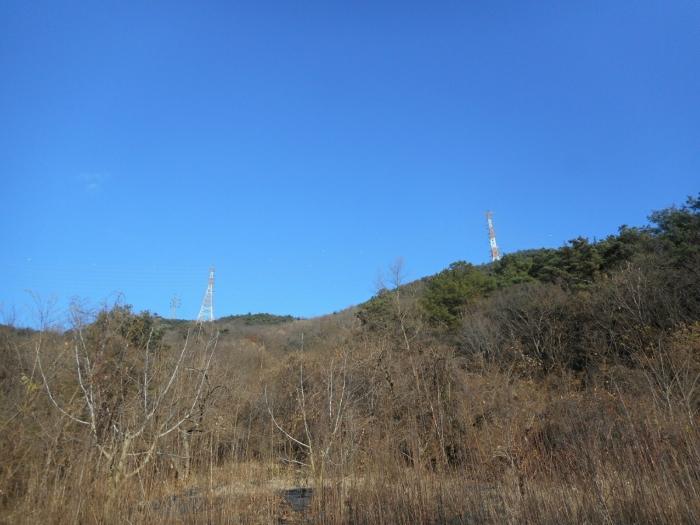 경상북도 경산시 하양읍 대곡리 산16 법원경매 물건 대표사진
