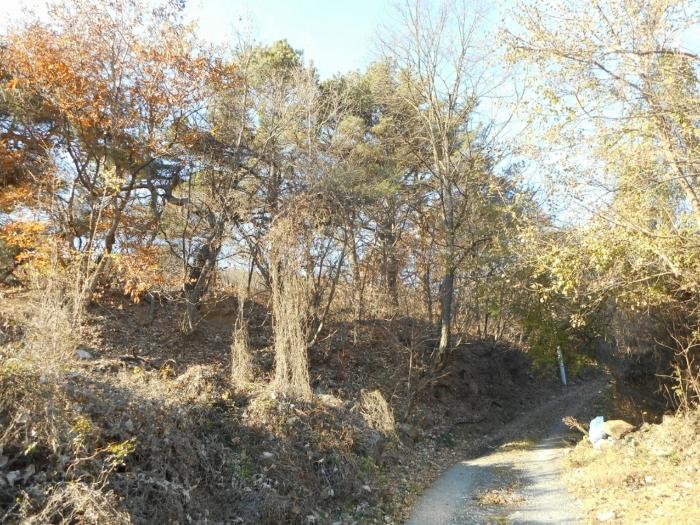 법원경매 2024타경126802 사진2 | 경산시 하양읍 대곡리 임야 경매