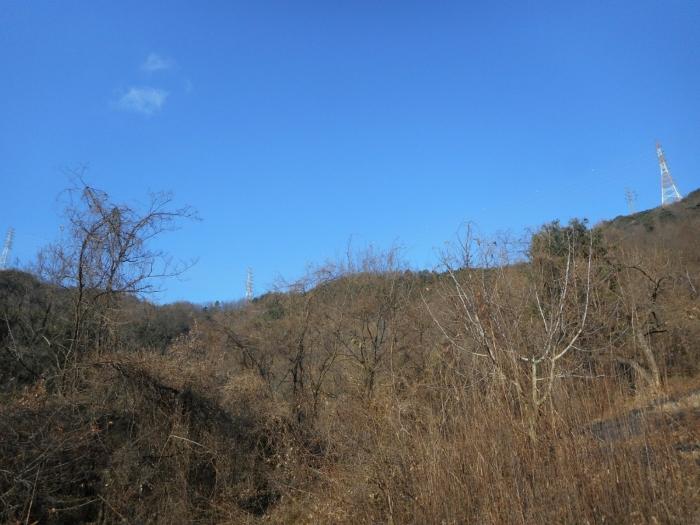 법원경매 2024타경126802 사진3 | 경산시 하양읍 대곡리 임야 경매