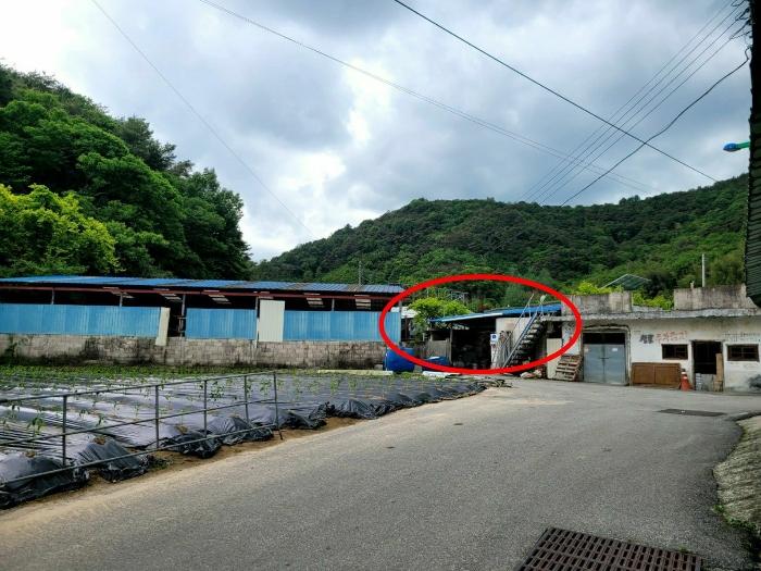 전라남도 담양군 용면 통천리 131-1 법원경매 물건 대표사진