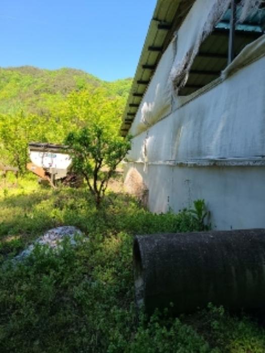 2024타경67376 법원경매 사진29 | 전남 담양군 주택건물 경매