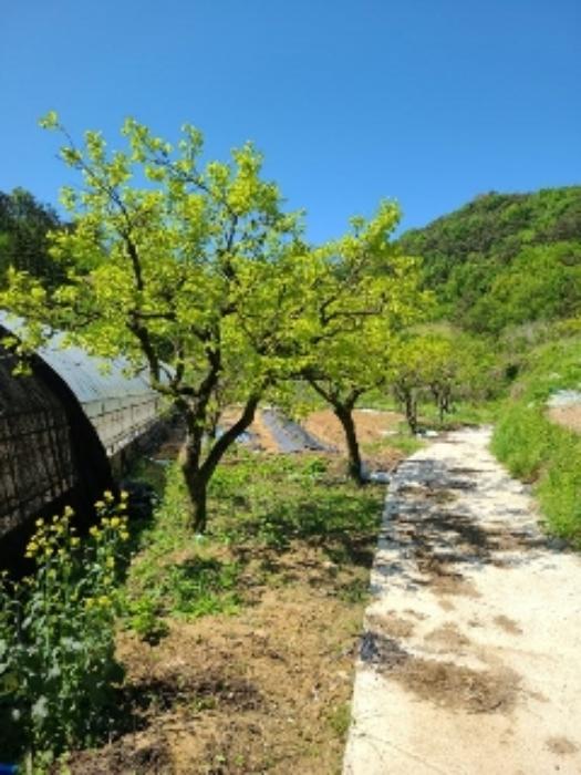 2024타경67376 법원경매 사진53 | 전남 담양군 주택건물 경매