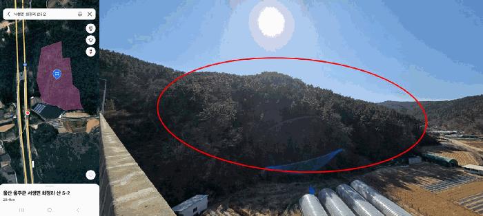 법원경매 2025타경11310 사진3 | 울산 울주군 서생면 임야 경매