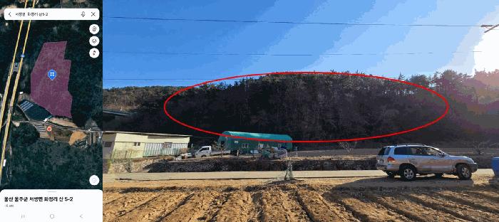 법원경매 2025타경11310 사진4 | 울산 울주군 서생면 임야 경매