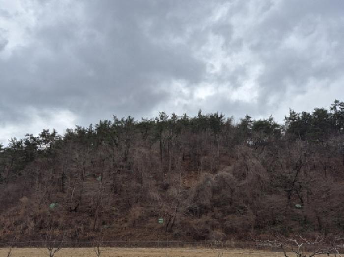 법원경매 2025타경11310 사진5 | 울산 울주군 서생면 임야 경매