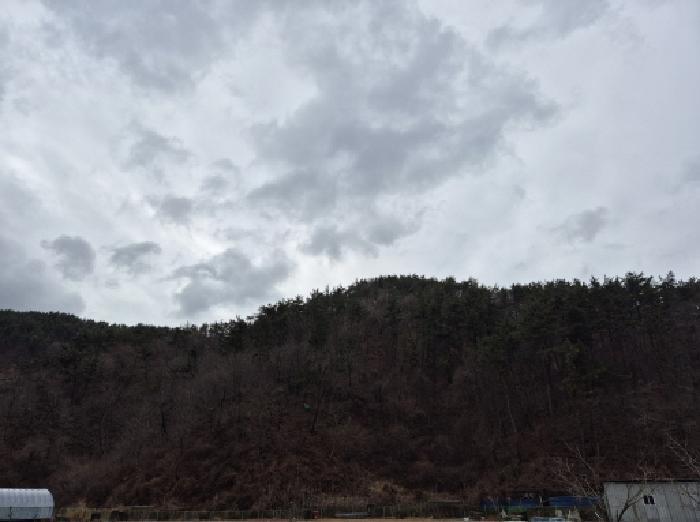법원경매 2025타경11310 사진7 | 울산 울주군 서생면 임야 경매