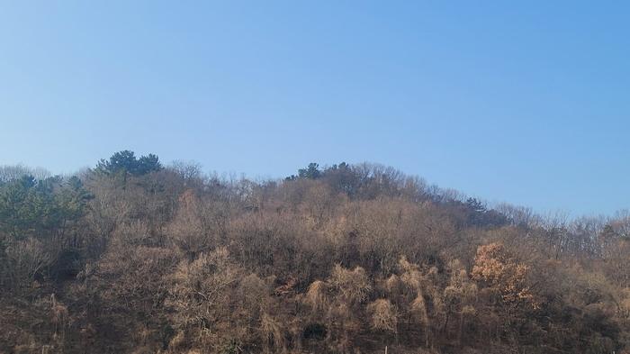 2024타경107395 법원경매 사진5 | 경남 함안군 전 경매