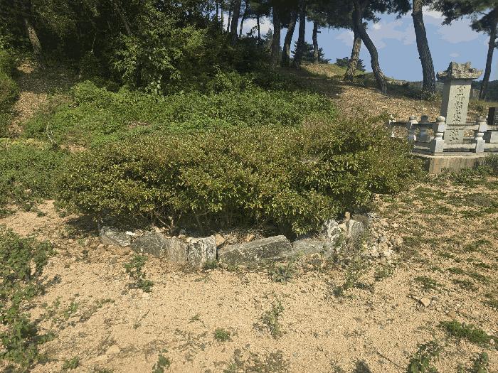 2024타경55543 법원경매 사진2 | 전남 함평군 전 경매