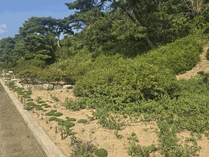 2024타경55543 법원경매 사진5 | 전남 함평군 전 경매